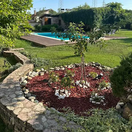 Flower Garden