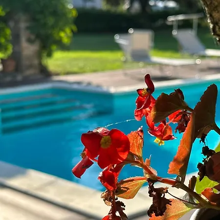 Flower Garden Вилла *