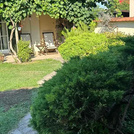Flower Garden