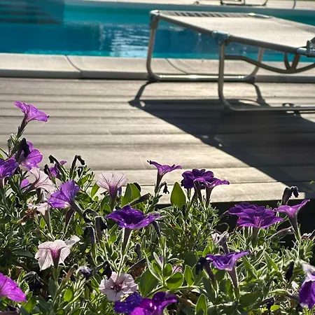 Flower Garden Вилла