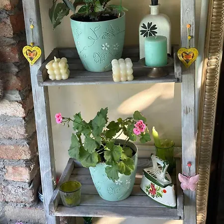 Вилла Flower Garden